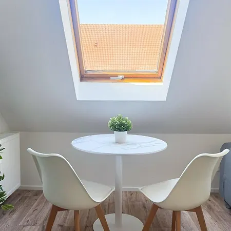 Modern In Center Apartment